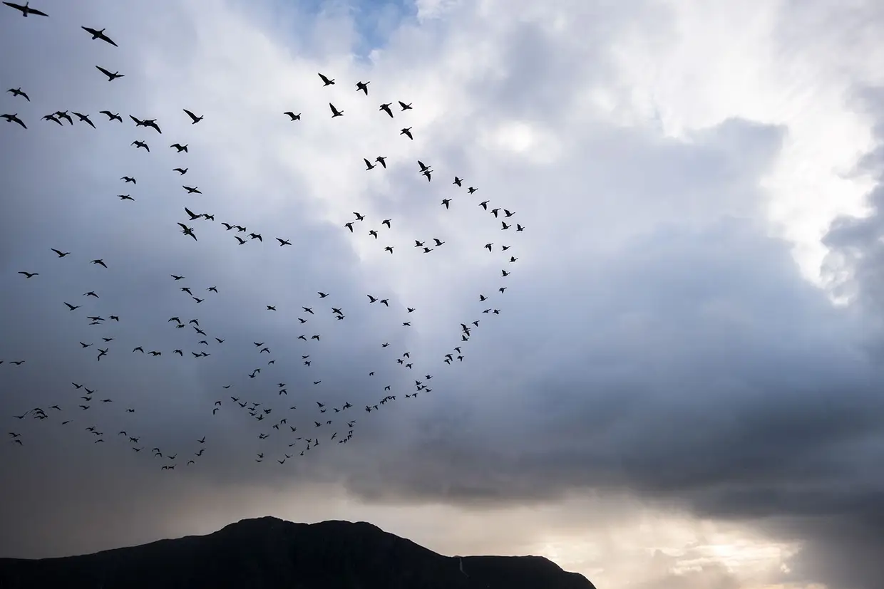 As viagens de grupo são sempre menos interessantes, vê-se pouco, nunca há tempo para interagir com os locais, é tudo muito programado. As viagens das águias são mais giras que as dos patos.