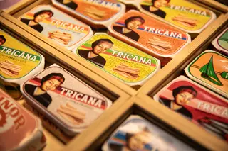 A Conserveira de Lisboa tem três marcas próprias registadas, desde os anos 1940: a Tricana, para os peixes maiores e filetes; a Minor, para peixes pequenos e pastas de peixes; a Prata do Mar, com filetes de tamanho mais reduzido, peixes médios, além de conservas cozinhadas