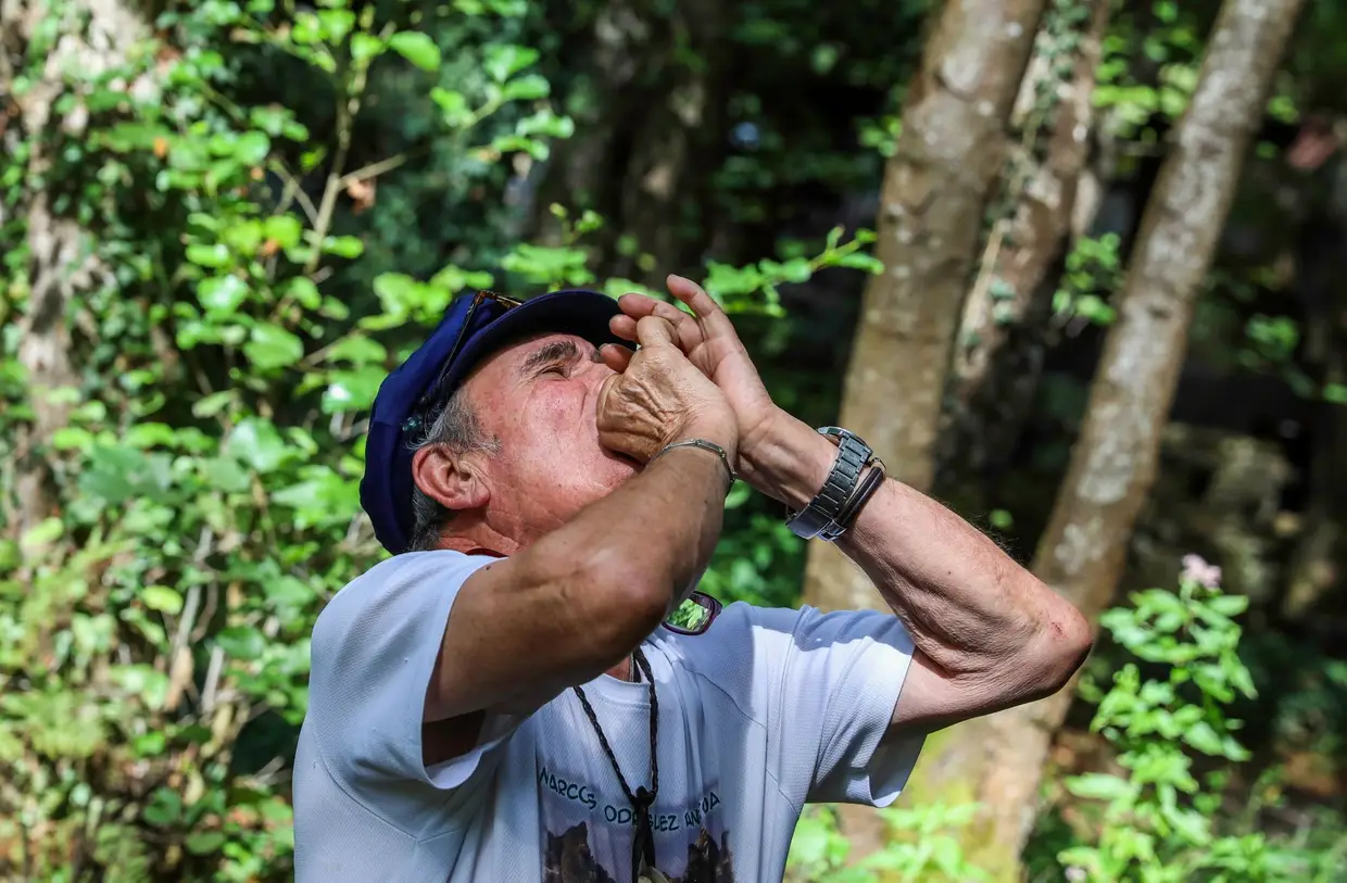 O andaluz Marcos Pantoja foi vendido pelo pai quando tinha 7 anos. Abandonado na Serra Morena, viveu mais de uma década entre os bichos. Quando o "resgataram" rosnava. Mas a "selva humana" não o tratou melhor. Em setembro, fomos conhecê-lo à Galiza, onde vive hoje em dia