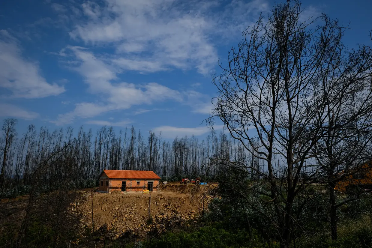 Um ano depois do incêndio de Pedrógão Grande, uma investigação da VISÃO revelou que 500 mil euros dos donativos foram desviados para obras que não eram consideradas urgentes