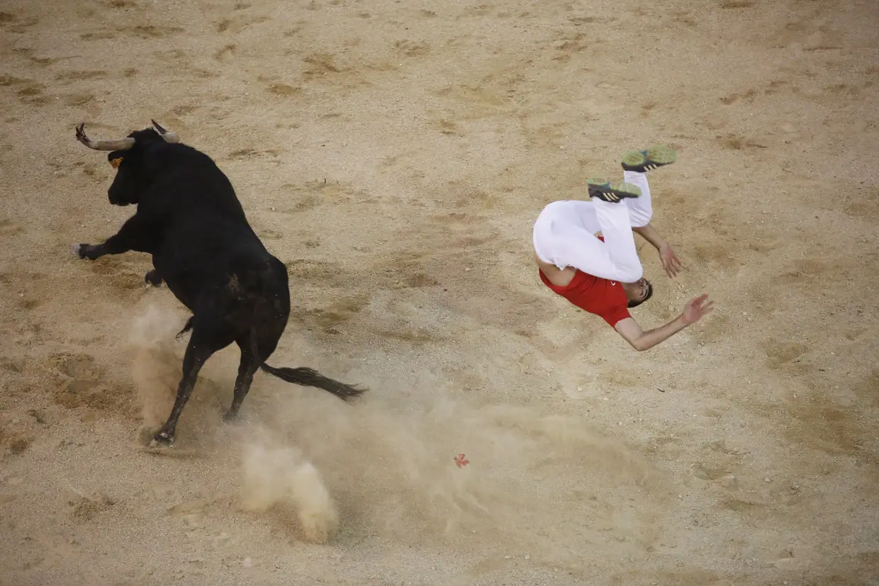 Recortadores. Esta é uma das vertentes da tauromaquia muito apreciada em Espanha e pouco conhecida em Portugal. E, por incrível que possa parecer, tolerada pelos defensores dos direitos dos animais. Isto porque esta arte não fere o toiro e coloca-o perante o homem de igual para igual