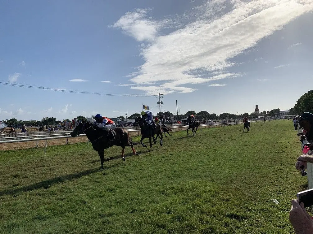 Corrida de Cavalos no Boxing Day em Garrison Savannah, Barbados