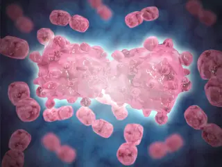 Alimentação tem mais impacto no desenvolvimento (ou não) de cancro do que se pensava