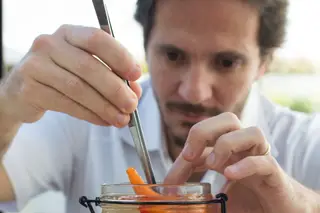 O sabor das coisas simples
