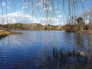 A Lagoa dos Cedros