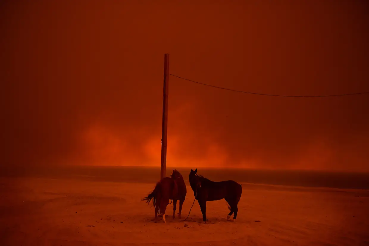 Evacuados