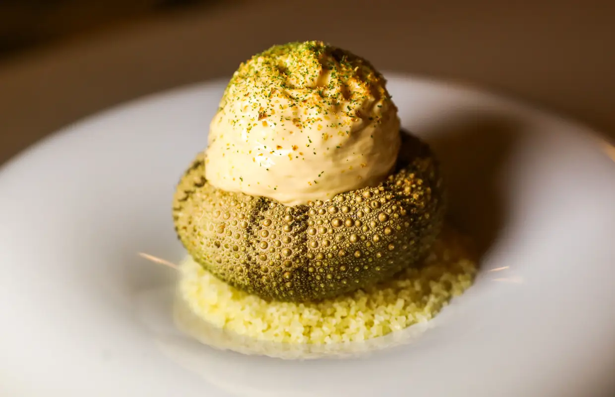 Ouriço do mar em casca, com puré de funcho, aneto e maçã