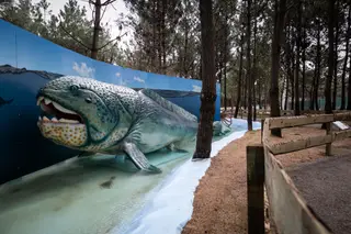 O Dunkleosteus, o maior peixe couraçado do período Devónico, com 10 a 14 metros, é um dos primeiros monstros marinhos a aparecer no novo trilho dos Monstros Marinhos