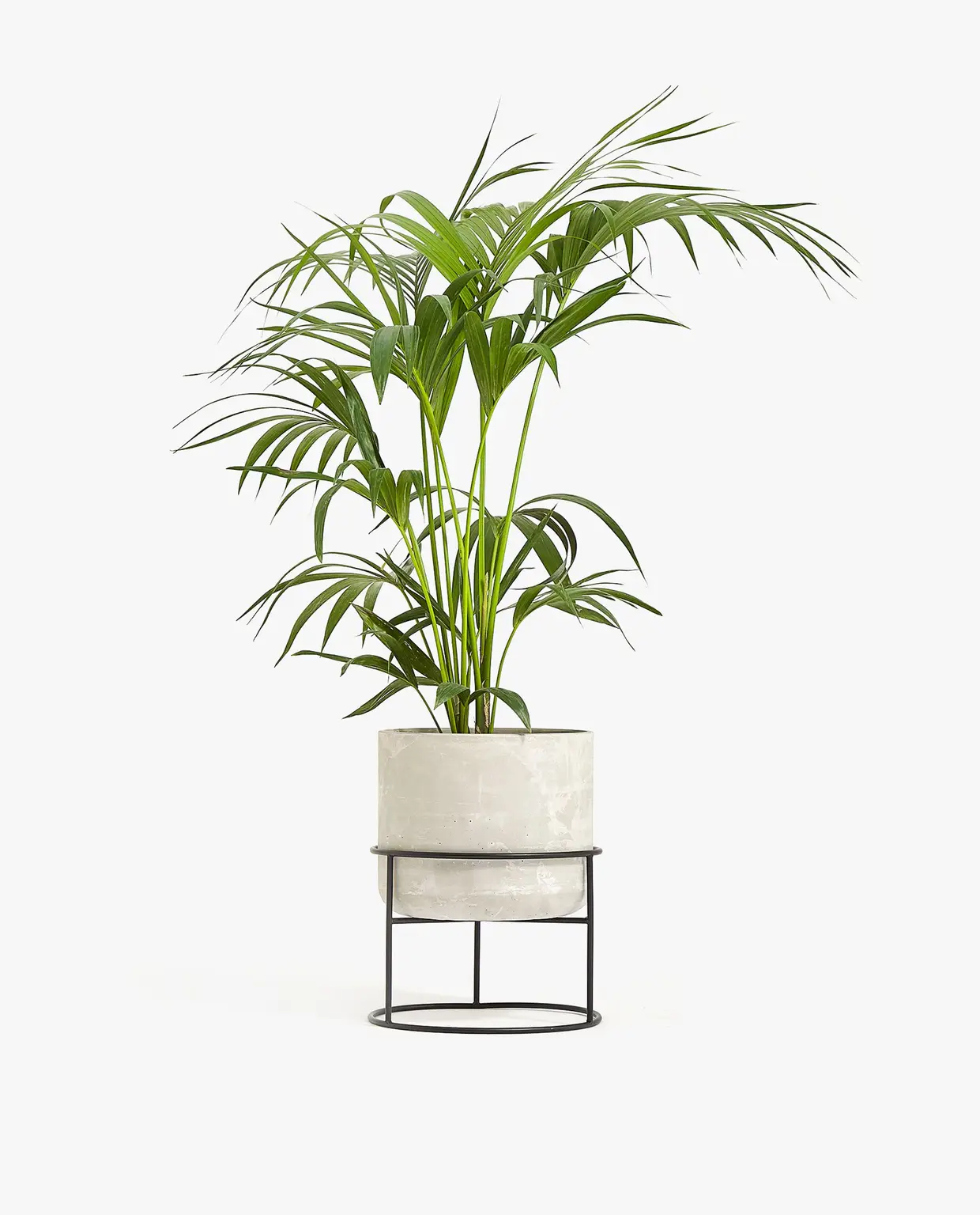 Suporte para plantas em cimento, Zara Home, €59,99