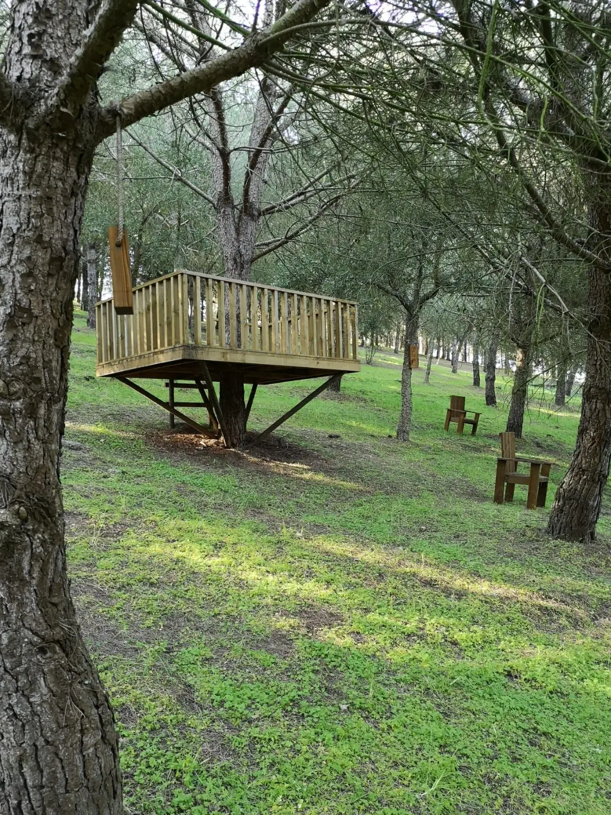 No bosque, feito de pinheiros, sobreiros e ciprestes, há cadeiras de baloiço e camas de rede para famílias inteiras. Classificado como “bike friendly”, o hotel tem ainda vários percursos BTT