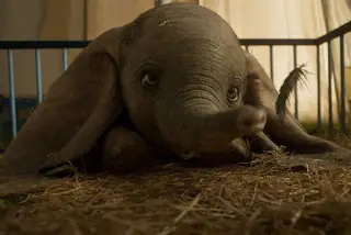 O filme «Dumbo»