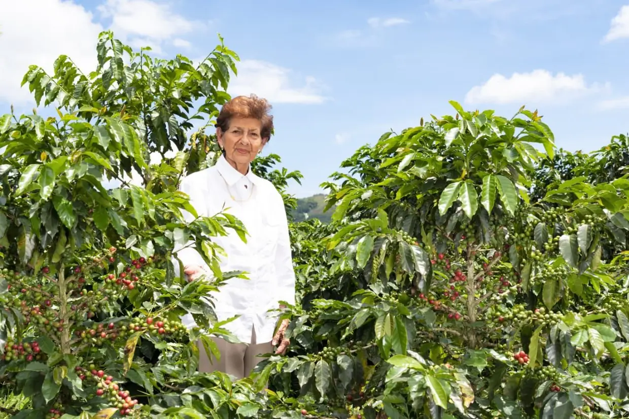 Café Lúcia Palaez gere a plantação Palonegro, na Colômbia, situada a 1 400 metros de altitude