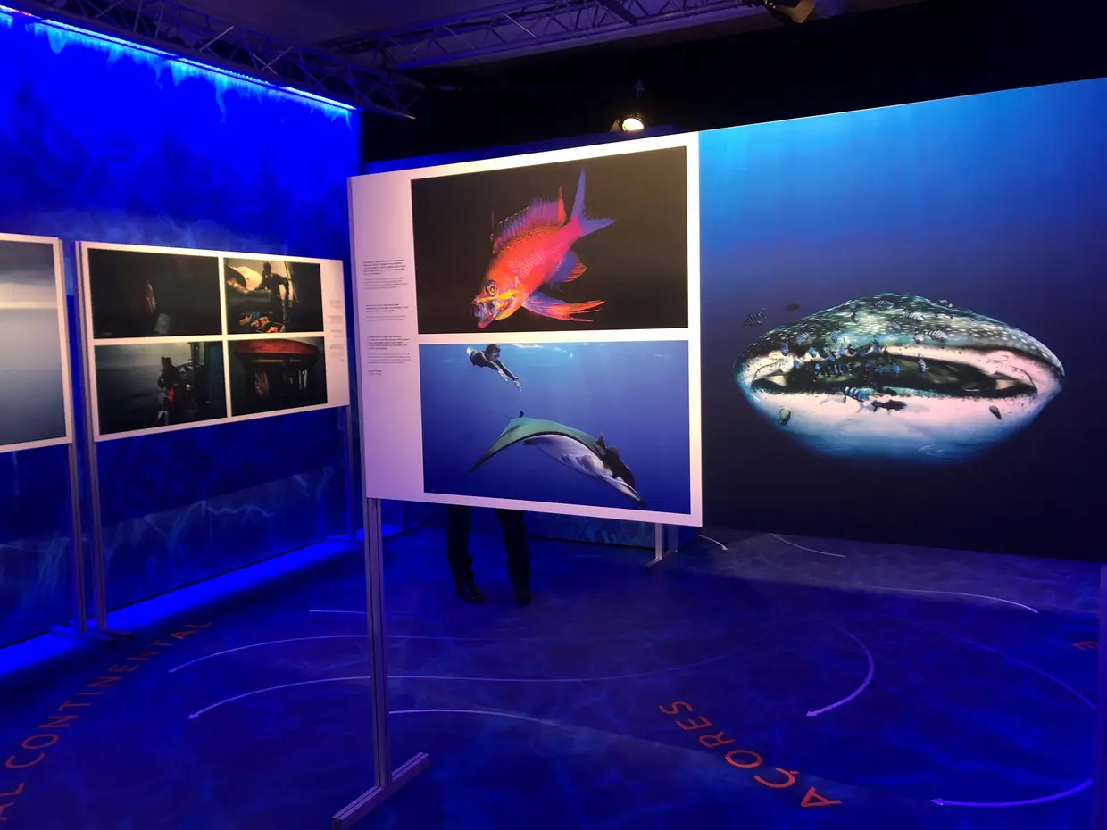 Inauguração da exposição do trabalho documental "O Mar Que nos Une", promovido pela Fundação Galp, em parceria com a VISÃO, para ver no World Press Photo, em Lisboa. À esquerda, fotografias de Arlindo Camacho em Sines, e à direita mais imagens de Nuno Sá, dos Açores.