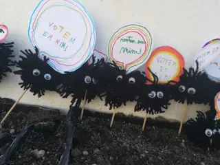 O Cuquedo, de Clara Cunha