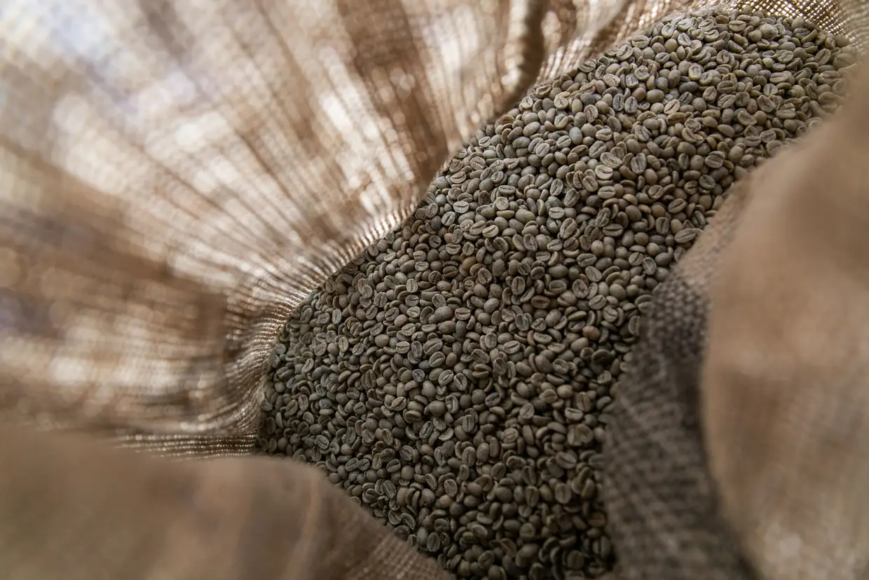 Neste momento, têm disponível café do Brasil, de Ruanda, da Indonésia, da Etiópia e da Colômbia