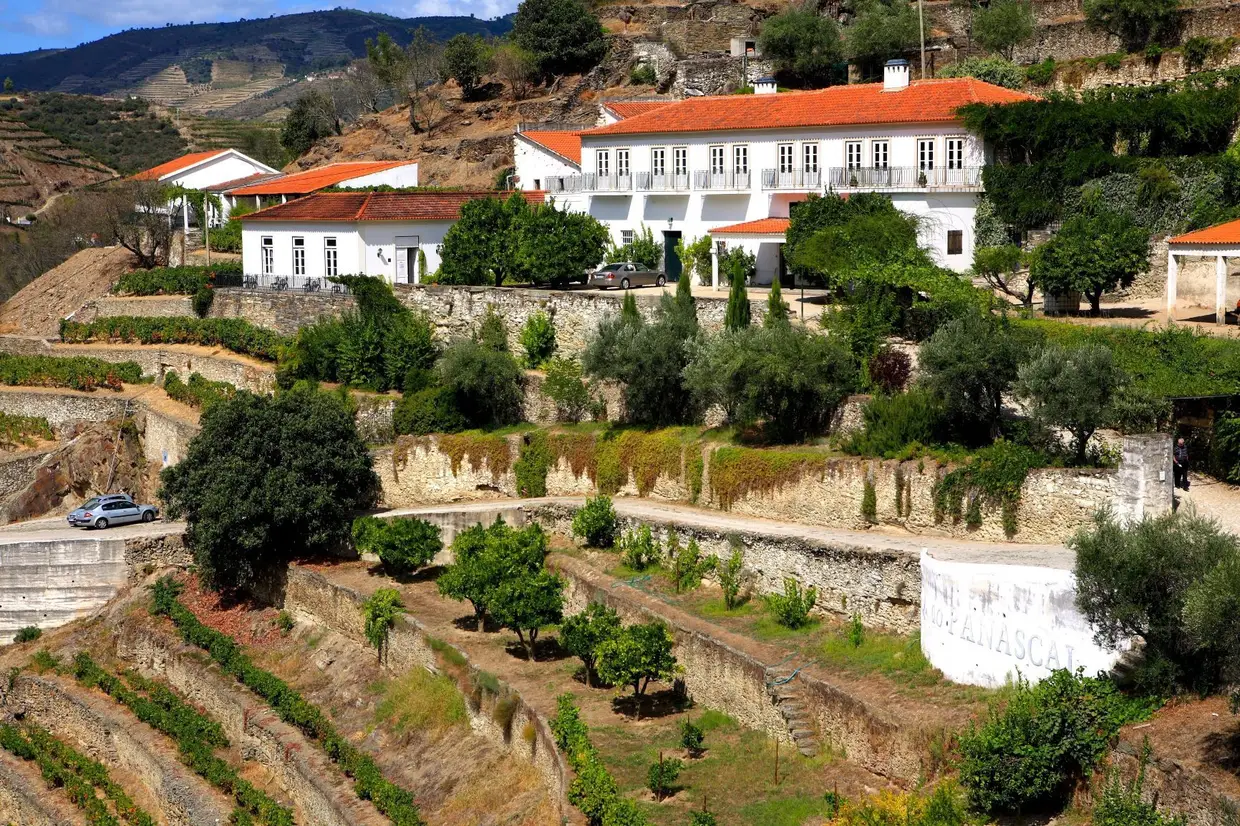 Também a Quinta do Panascal (onde nascem os vinhos da Fonseca) está aberta a visitas e organiza provas de vinhos - foi a primeira, aliás, a abrir portas em 1992