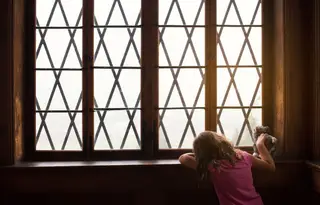 Ana Billnness, assistente social: “Não somos nenhuns bichos que tiram os filhos às famílias”  