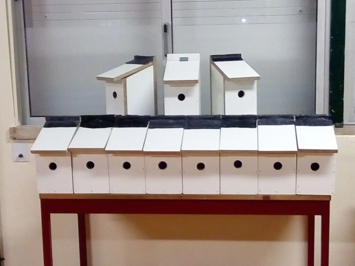 Estes são os ninhos que vão ser colocados estrategicamente pela cidade de Ourém