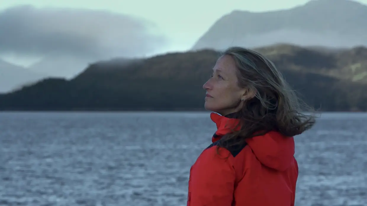 Em 1972, o ano em que Céline nasceu, Jacques Cousteau navegou até aos mares do Sul, para observar as baleias de Terra do Fogo e regressou resignado. A sobrevivência da espécie estava em perigo. Mais de quatro décadas depois, Céline inicia uma grande aventura marítima de 3000 quilómetros pela costa chilena