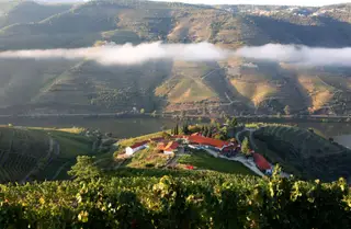 Quinta Nova Nossa Senhora do Carmo, em Covas do Douro, Sabrosa