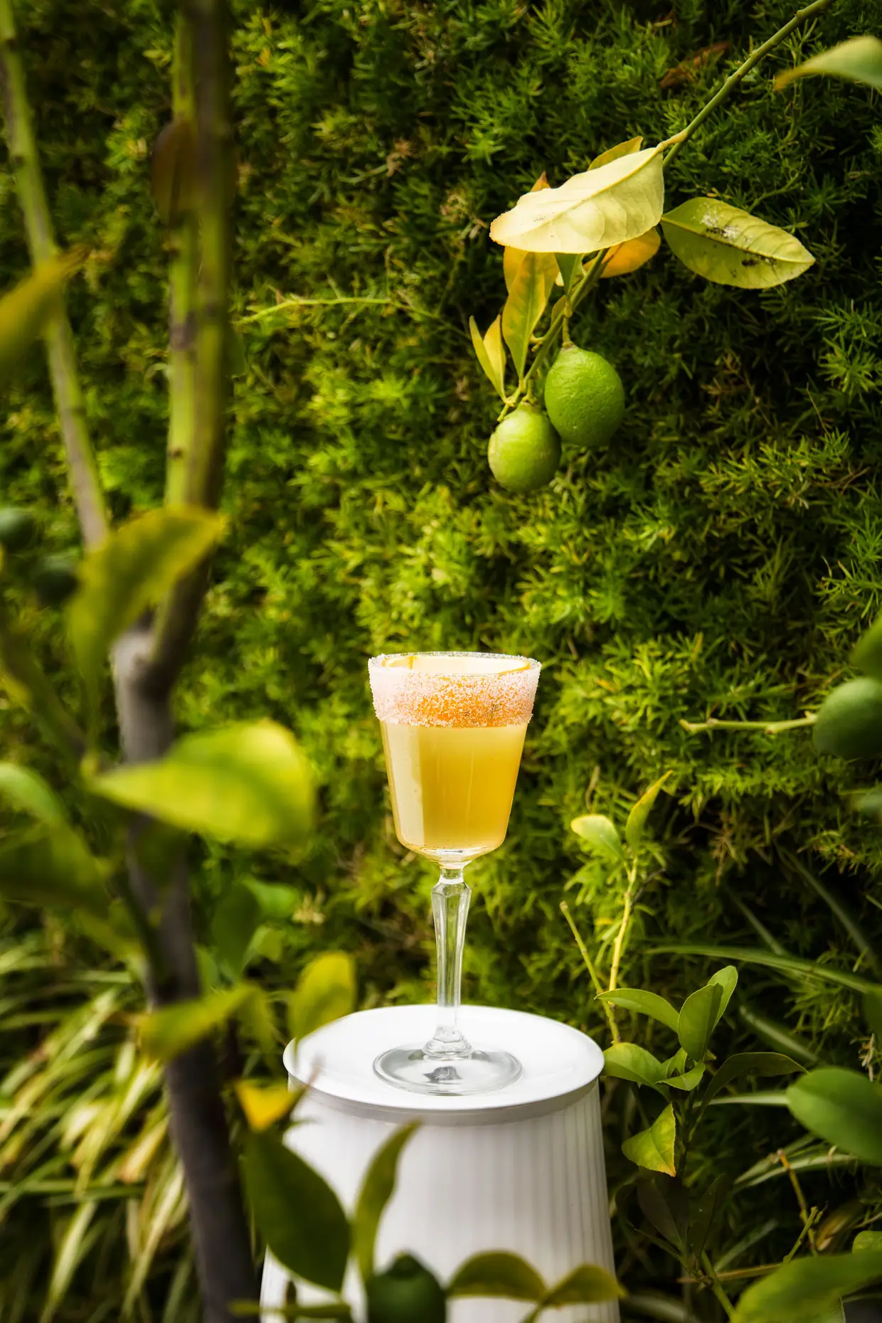 Vodka ginger