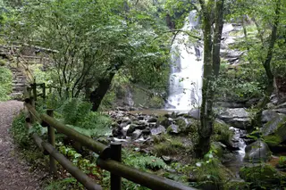 Passadiços do Rio Gresso, em Sever do Vouga