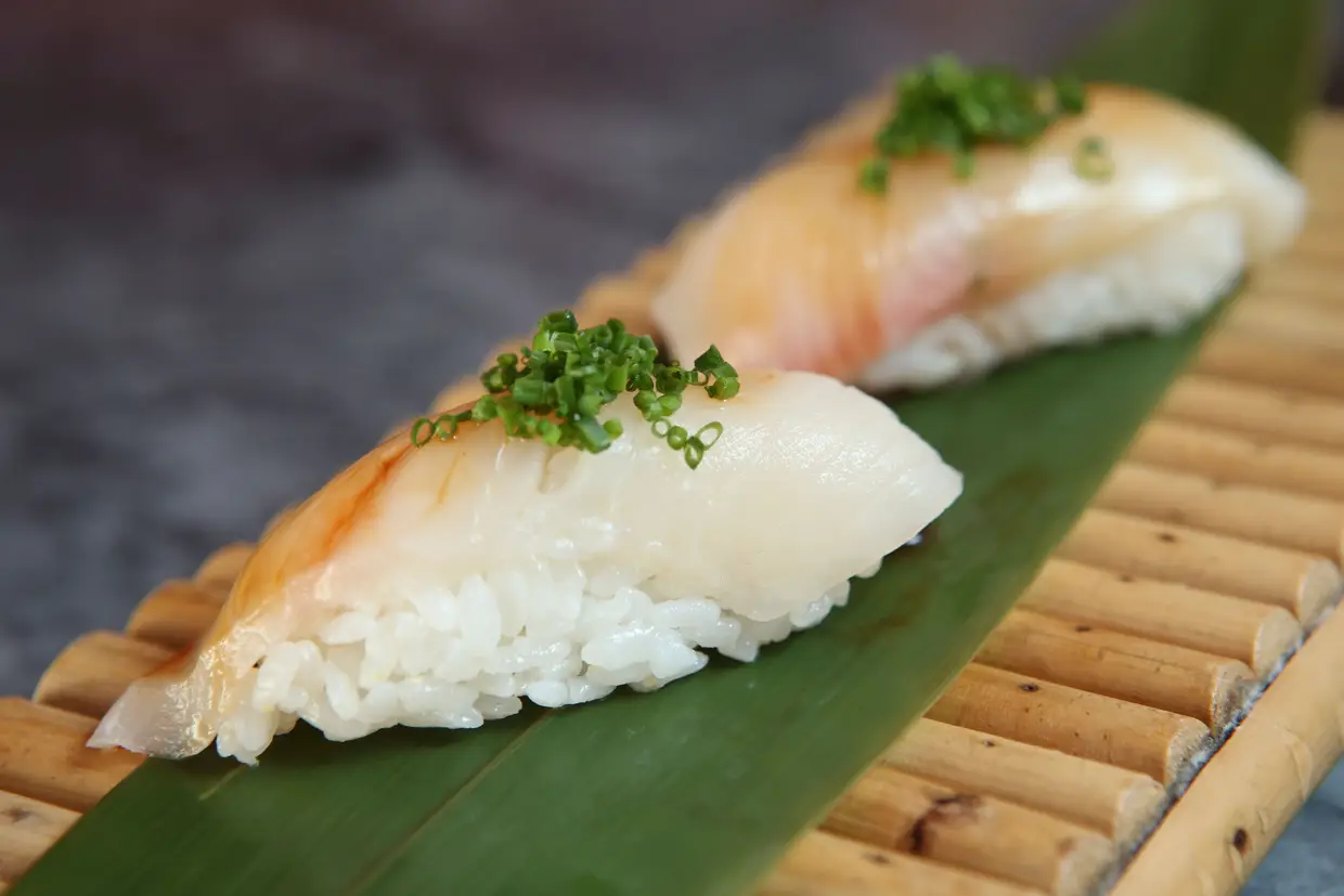 Gunkan de espadarte e alga codium