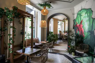 O novo café do Porto cativa não só pela decoração, com muitas madeiras e plantas, mas também pelos pratos, bem coloridos
