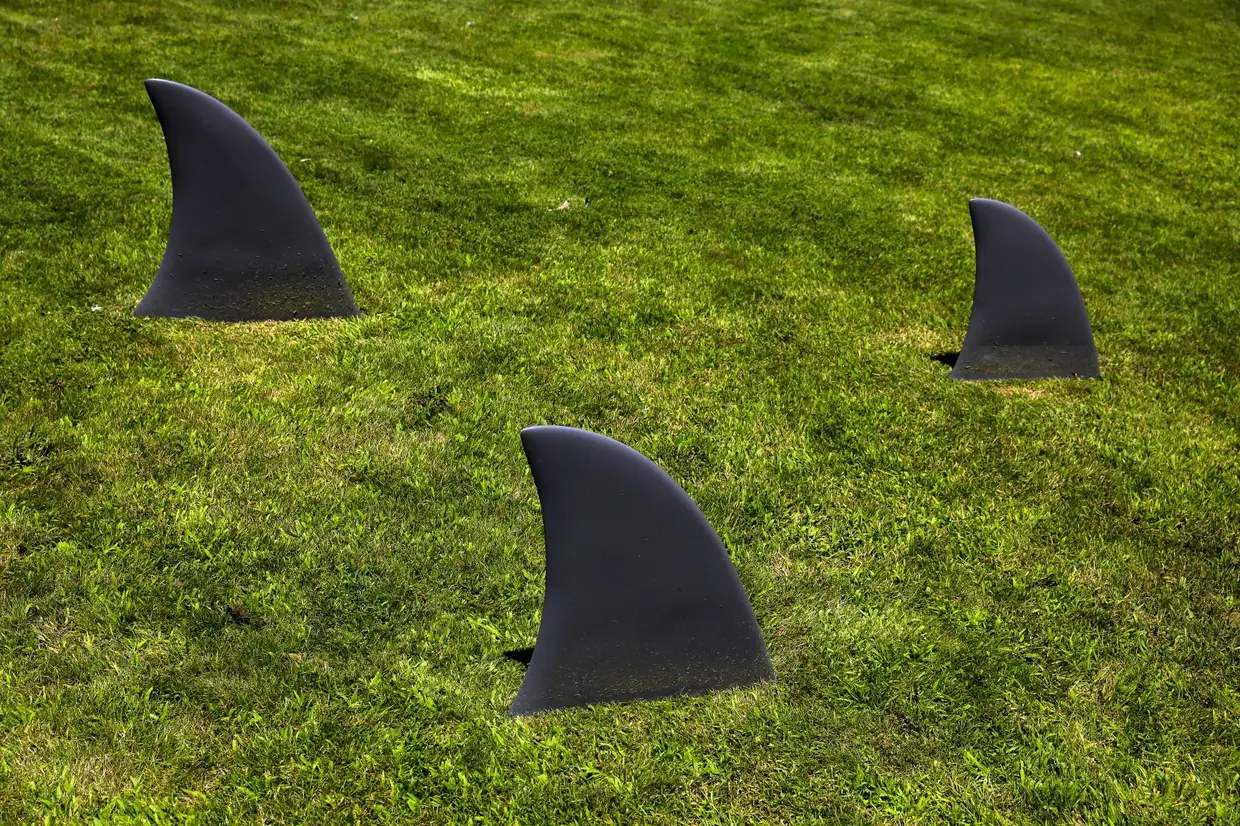 Perturbarão, de Cildo Meireles - Parque de Serralves