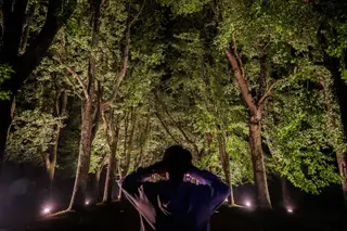A vida noturna do Parque de Serralves descobre-se nas noites de verão