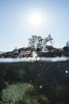 A Noruega em Modo “Red-Hot”