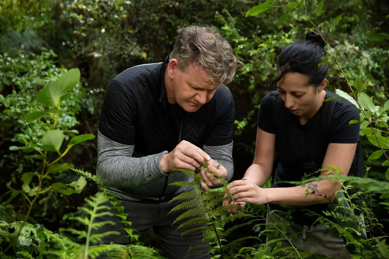 Na Nova Zelândia, na Ilha Stewart, Gordon Ramsay teve à sua espera Monique Fiso, uma chefe de cozinha que brinca com a culinária do mar e do rio, das montanhas e da floresta