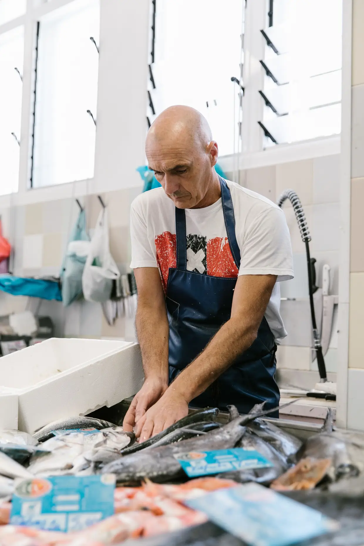 Miguel Pinto vende peixe no mercado desde os 13 anos. Abastece-se na lota, à época de sardinhas, carapaus, xaputas e cantarilhos