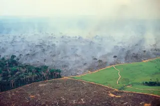 O deserto