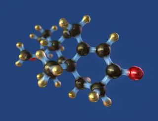 O efeito da testosterona no nosso raciocínio e juízo moral