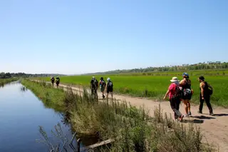 Costa a pé: o esplendor da Arrábida, por dentro de propriedade privada e o verde lindo dos arrozáis