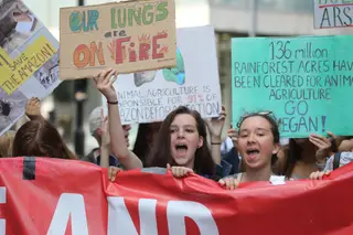 Ativistas juntaram-se hoje, dia 23, emfrente à Embaixada do Brasil, em Londres, pedindo a Jair Bolsonaro que trave os fogos e a desflorestação na Amazónia