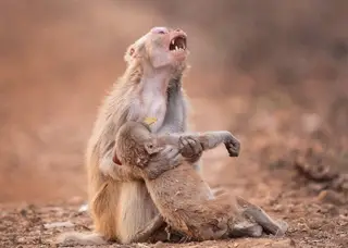 Mais uma foto da Amazónia que não é da Amazónia