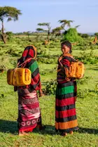 A mulher de dois mundos