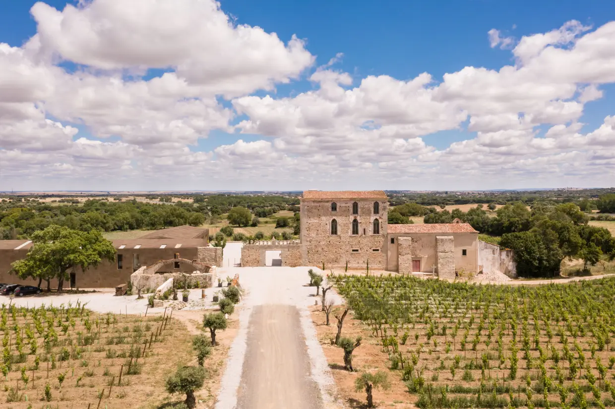 Nesta herdade alentejana, produzem-se, por ano, cerca de 280 mil garrafas de vinho da marca Fita Preta