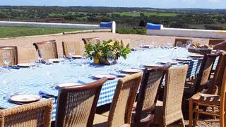 Na Herdade de São Miguel, da Casa Relvas, o programa de vindimas pode incluir um almoço tipicamente alentejano