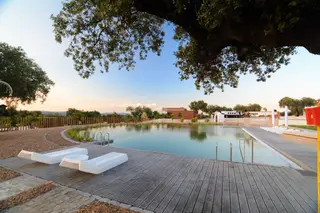 A Herdade dos Adaens, em Campo Maior, é muito mais que um turismo rural