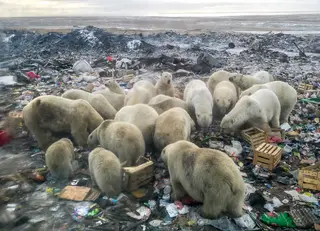 Um planeta mais quente roubará quanto à economia portuguesa?
