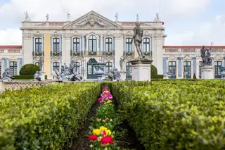 No jardim botânico do Palácio Nacional de Queluz, com cerca de 200 espécies de plantas, há uma estufa de ananases, fruto muito apreciado por reis e rainhas