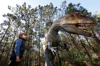 Para lá dos trilhos do Dino Parque, pode-se visitar o museu, o laboratório onde são estudados os novos achados da Lourinhã. O parque tem ainda cafetaria, parque infantil, zona de merendas e uma loja