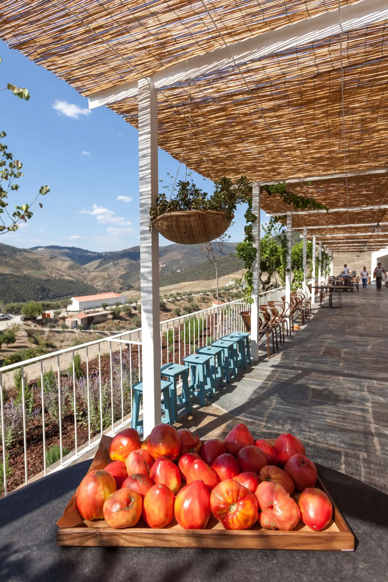 A varanda do restaurante Cantina do Ventozelo, cuja cozinha apostará nos produtos locais, como o tomate coração de boi