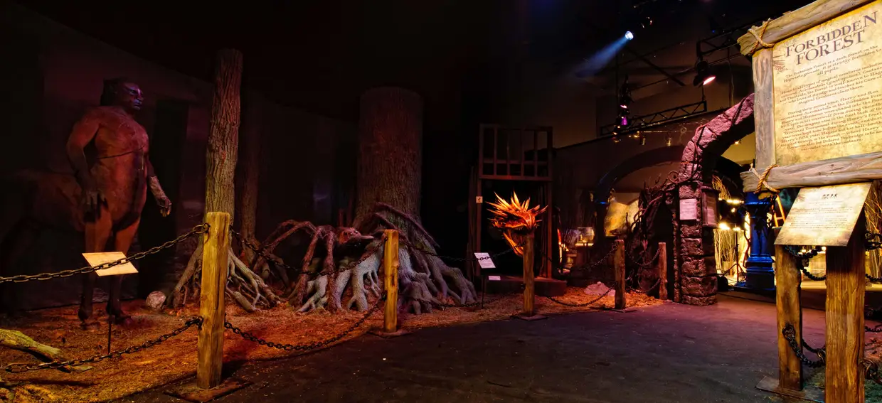 A exposição recria alguns dos locais mais simbólicos da saga, como a Floresta Proibida