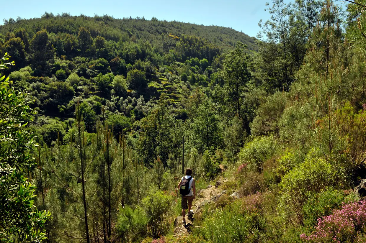 Existem vários percursos pedestres assinalados. Um dos mais bonitos é o que parte junto ao Castelo da Lousã e percorre as aldeias de Casal Novo e Talasnal