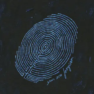Se o primeiro disco revelava uma compreensível fome de se fazer ouvir, You Are Forgiven revela uma maior maturidade, algo que poderá estar ligado à recente paternidade e/ou à digestão do que foi o sucesso inicial