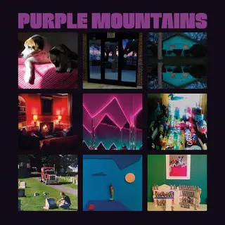 Purple Mountains, de Purple Mountains, o novo projeto de David Berman